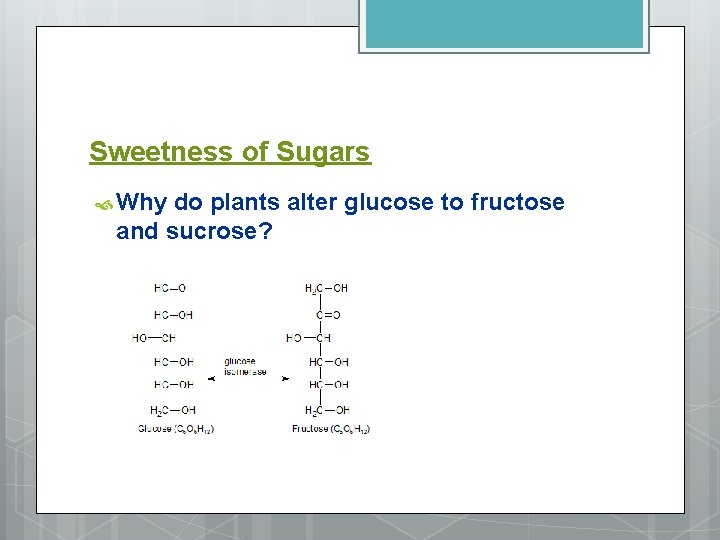 Sweetness of Sugars Why do plants alter glucose to fructose and sucrose? 