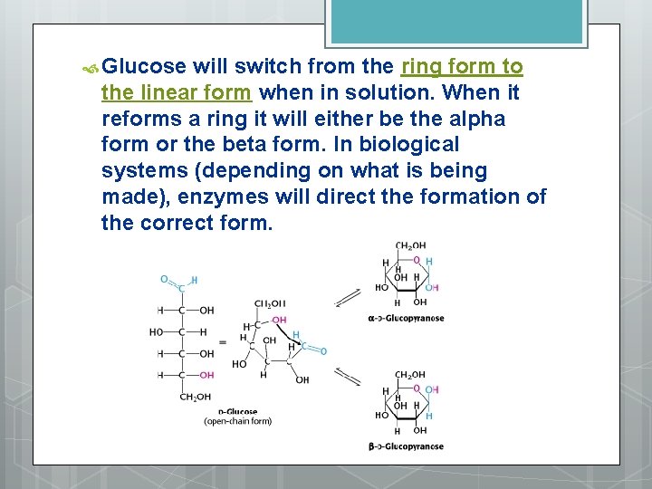  Glucose will switch from the ring form to the linear form when in