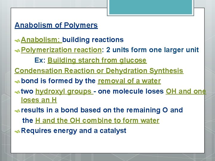 Anabolism of Polymers Anabolism: building reactions Polymerization reaction: 2 units form one larger unit