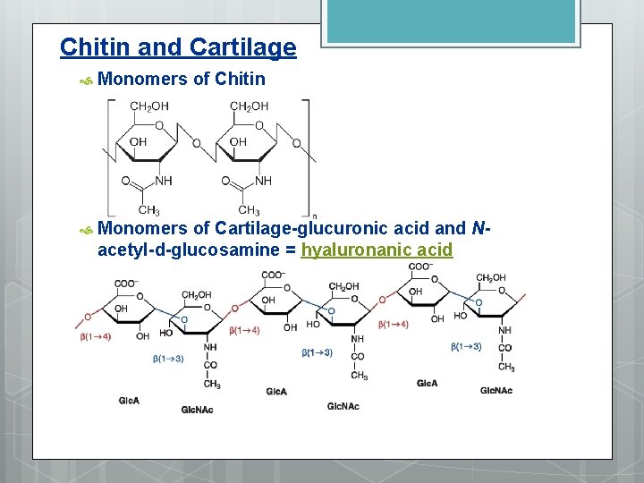 Chitin and Cartilage Monomers of Chitin Monomers of Cartilage-glucuronic acid and Nacetyl-d-glucosamine = hyaluronanic