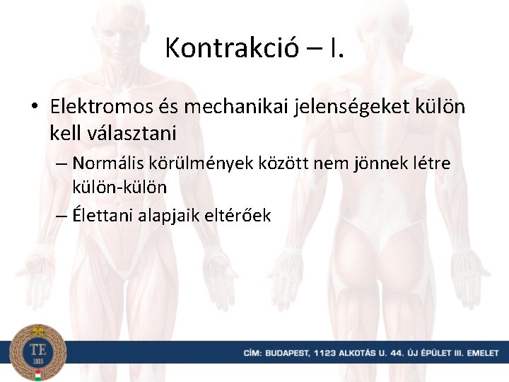 Kontrakció – I. • Elektromos és mechanikai jelenségeket külön kell választani – Normális körülmények