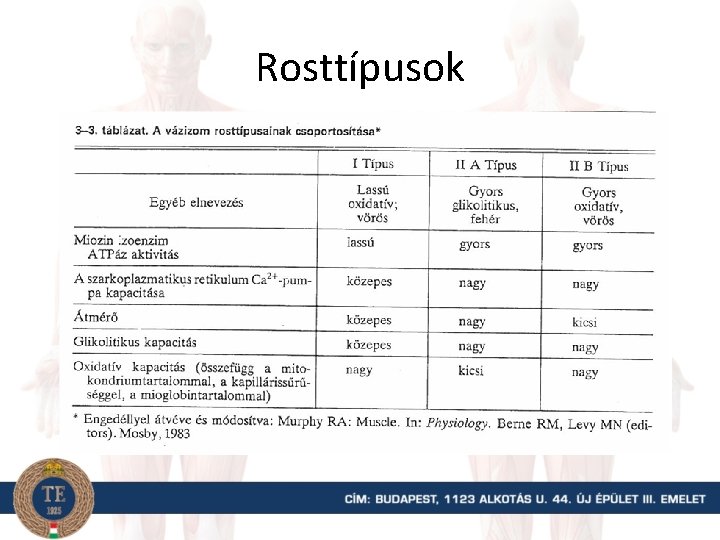 Rosttípusok 