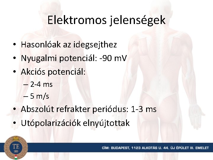 Elektromos jelenségek • Hasonlóak az idegsejthez • Nyugalmi potenciál: -90 m. V • Akciós