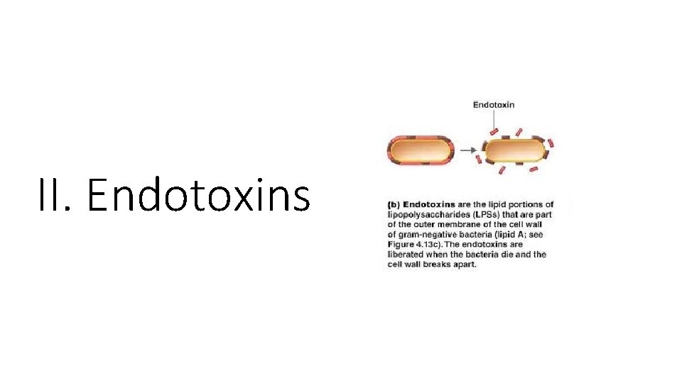 II. Endotoxins 