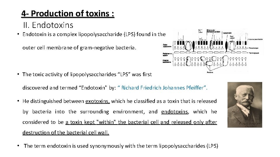 4 - Production of toxins : II. Endotoxins • Endotoxin is a complex lipopolysaccharide
