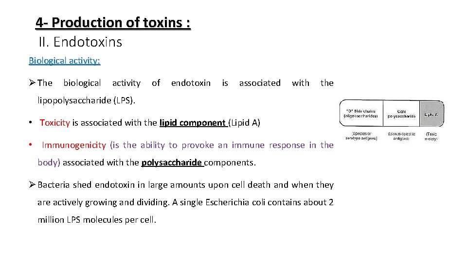 4 - Production of toxins : II. Endotoxins Biological activity: Ø The biological activity