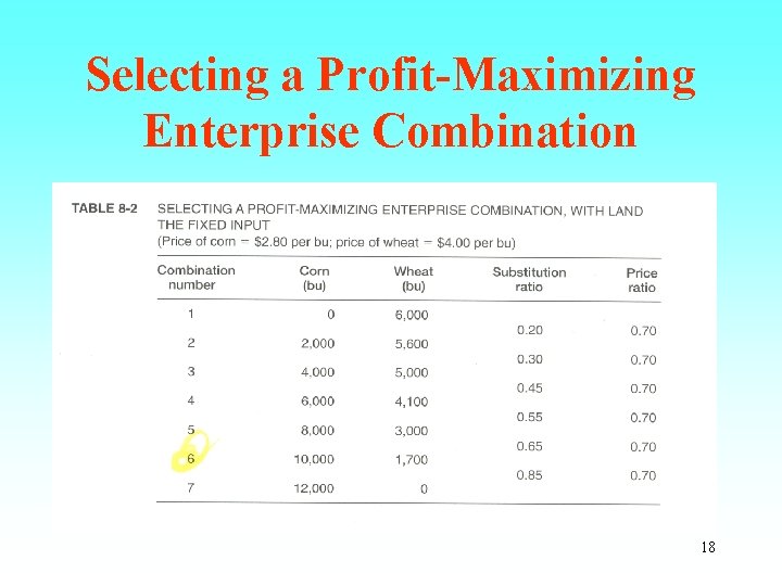 Selecting a Profit-Maximizing Enterprise Combination 18 