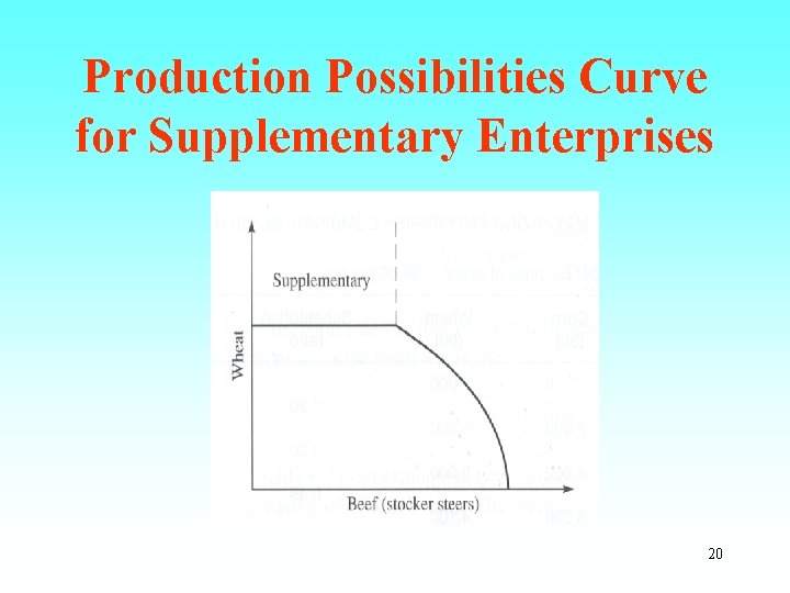 Production Possibilities Curve for Supplementary Enterprises 20 
