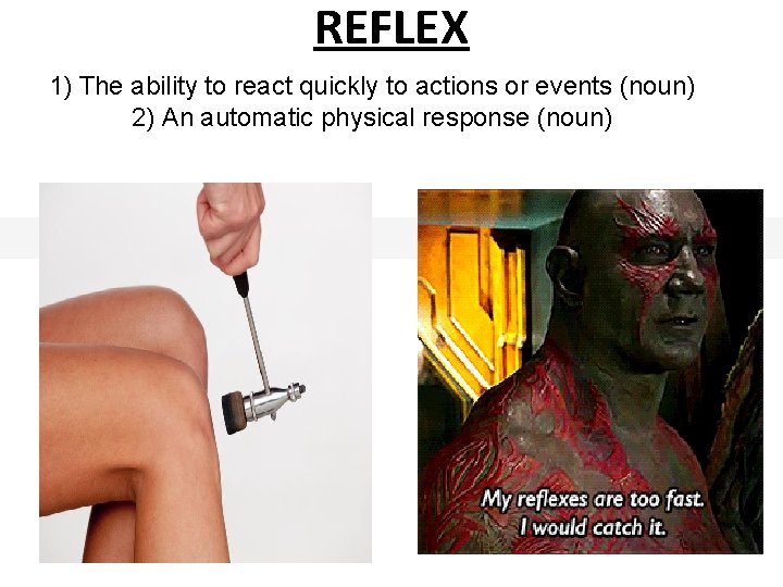 REFLEX 1) The ability to react quickly to actions or events (noun) 2) An