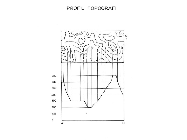 PROFIL TOPOGRA 