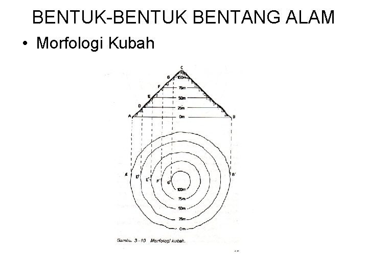 BENTUK-BENTUK BENTANG ALAM • Morfologi Kubah 