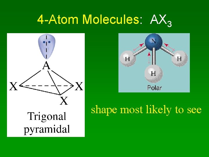 4 -Atom Molecules: AX 3 shape most likely to see 