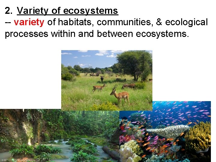 2. Variety of ecosystems -- variety of habitats, communities, & ecological processes within and