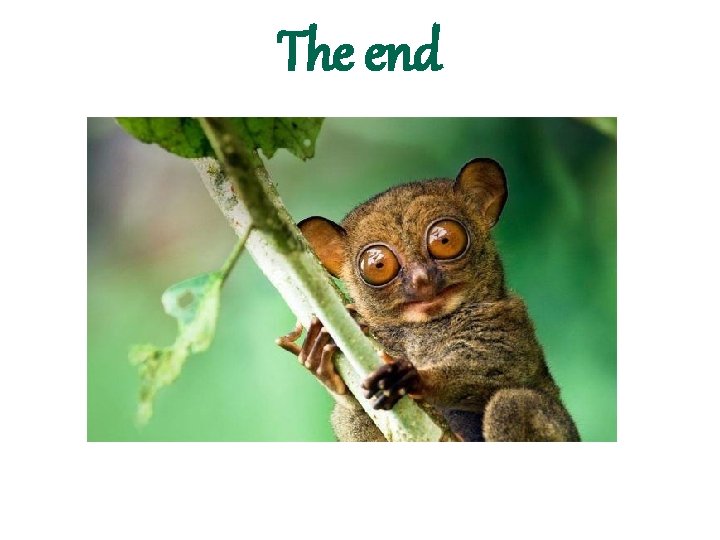 The end 