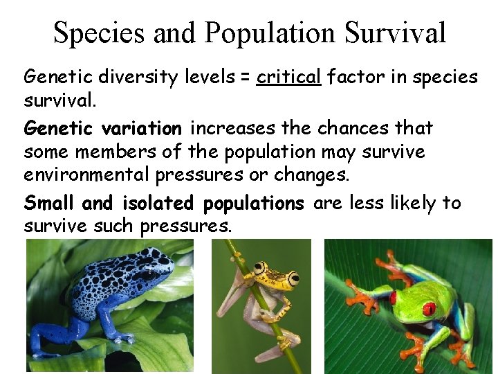 Species and Population Survival • Genetic diversity levels = critical factor in species survival.