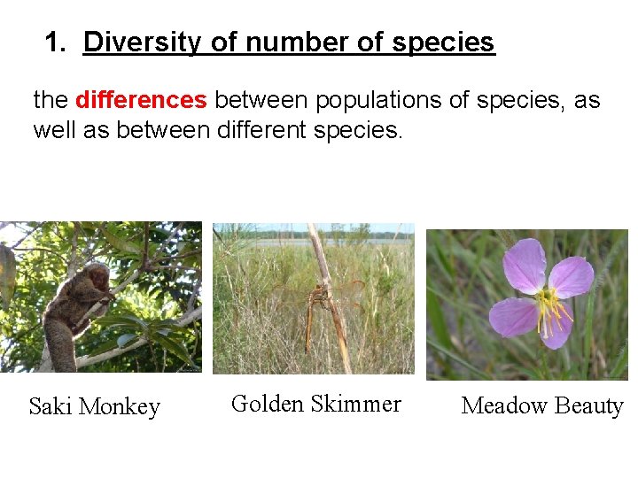 1. Diversity of number of species the differences between populations of species, as well