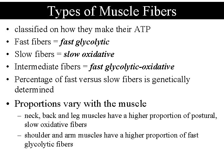 Types of Muscle Fibers • • • classified on how they make their ATP