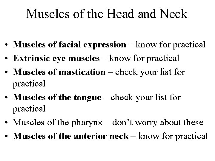 Muscles of the Head and Neck • Muscles of facial expression – know for