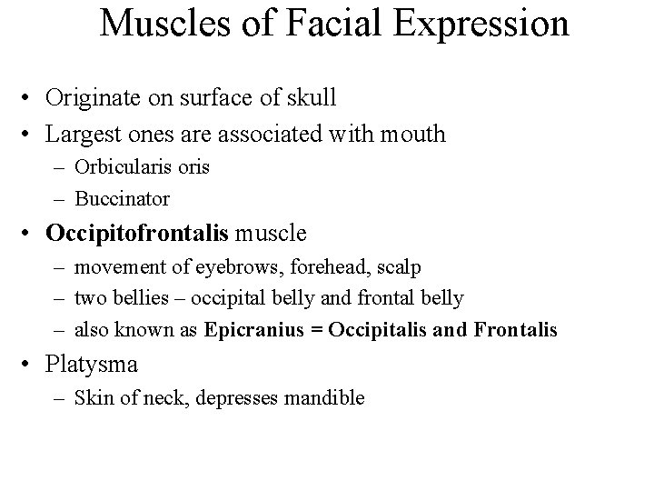 Muscles of Facial Expression • Originate on surface of skull • Largest ones are