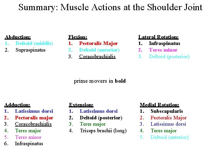 Summary: Muscle Actions at the Shoulder Joint Abduction: 1. Deltoid (middle) 2. Supraspinatus Flexion: