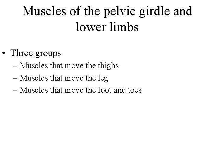 Muscles of the pelvic girdle and lower limbs • Three groups – Muscles that