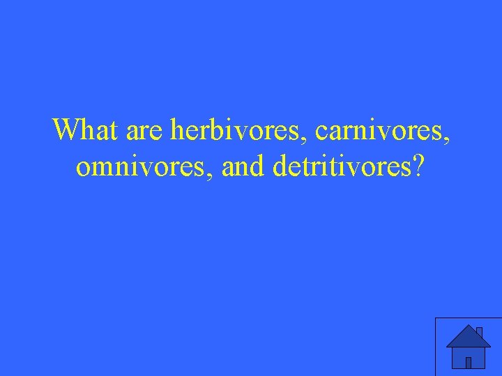 What are herbivores, carnivores, omnivores, and detritivores? 