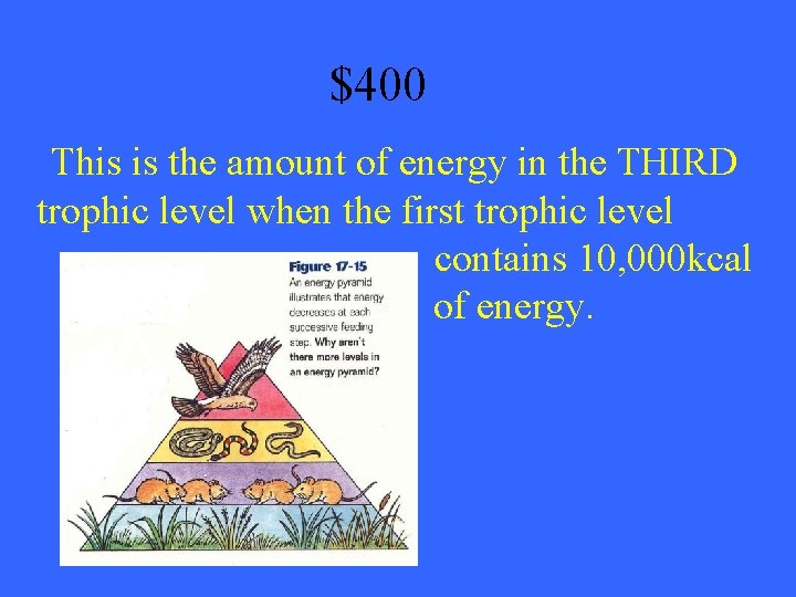 $400 This is the amount of energy in the THIRD trophic level when the