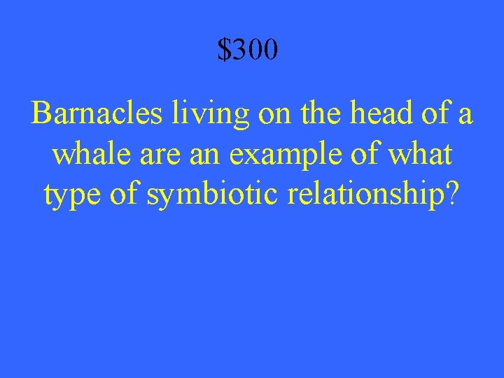 $300 Barnacles living on the head of a whale are an example of what