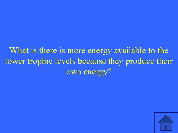 What is there is more energy available to the lower trophic levels because they