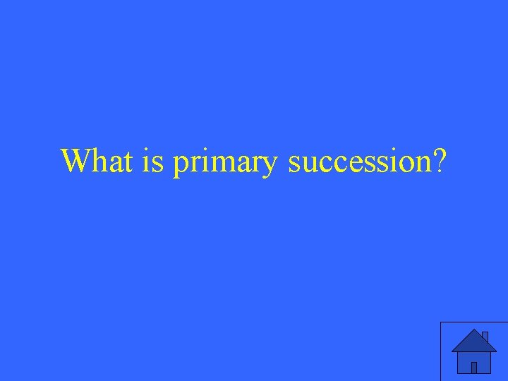 What is primary succession? 