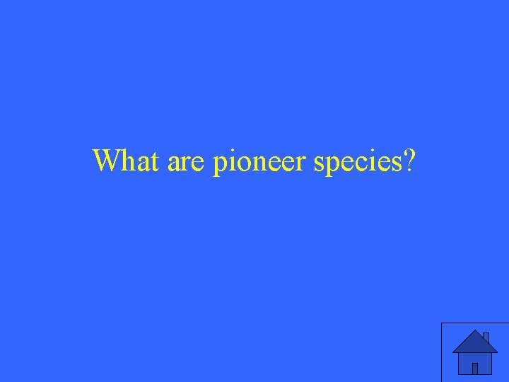What are pioneer species? 