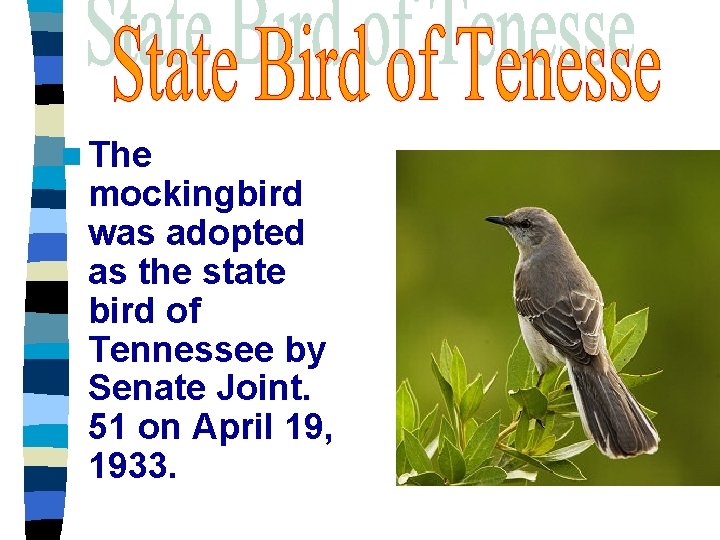 n The mockingbird was adopted as the state bird of Tennessee by Senate Joint.