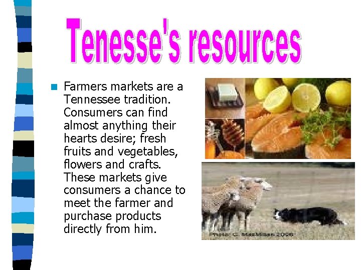 n Farmers markets are a Tennessee tradition. Consumers can find almost anything their hearts