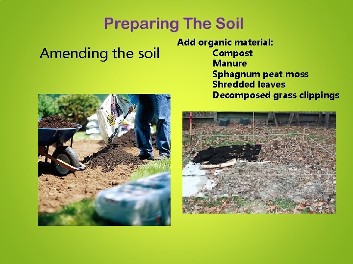 Amending the soil Add organic material: Compost Manure Sphagnum peat moss Shredded leaves Decomposed