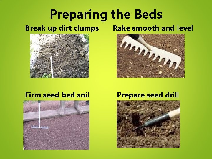 Preparing the Beds Break up dirt clumps Firm seed bed soil Rake smooth and