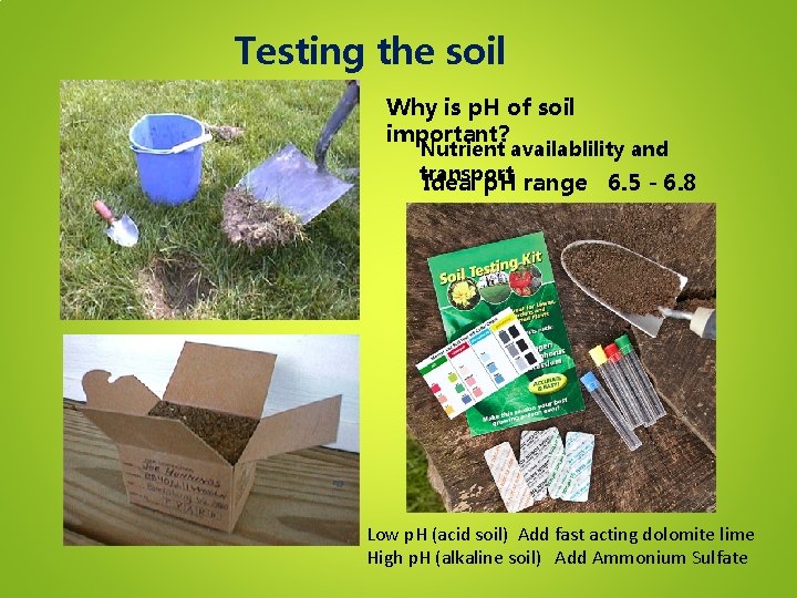 Testing the soil Why is p. H of soil important? Nutrient availablility and transport