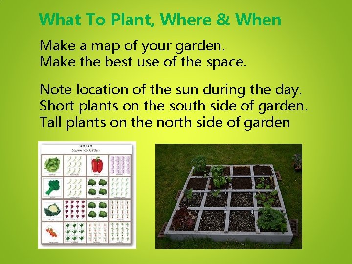 What To Plant, Where & When Make a map of your garden. Make the