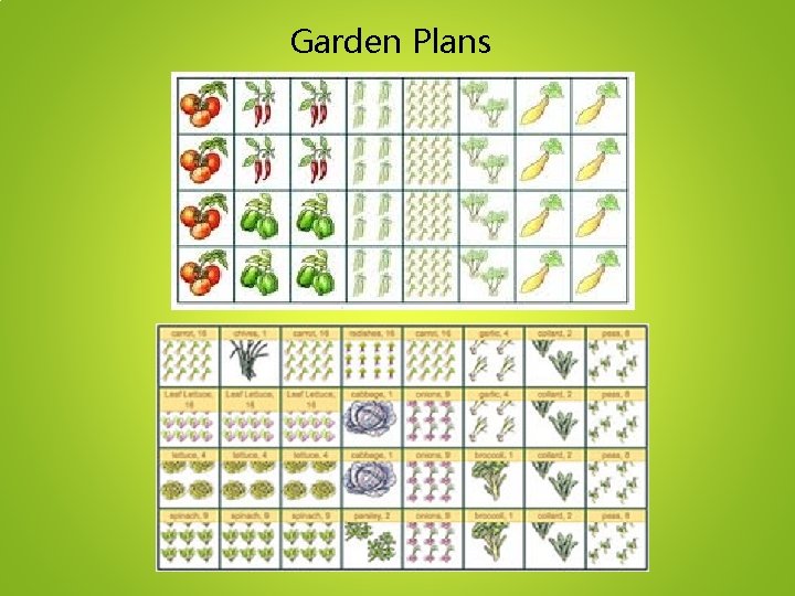 Garden Plans 