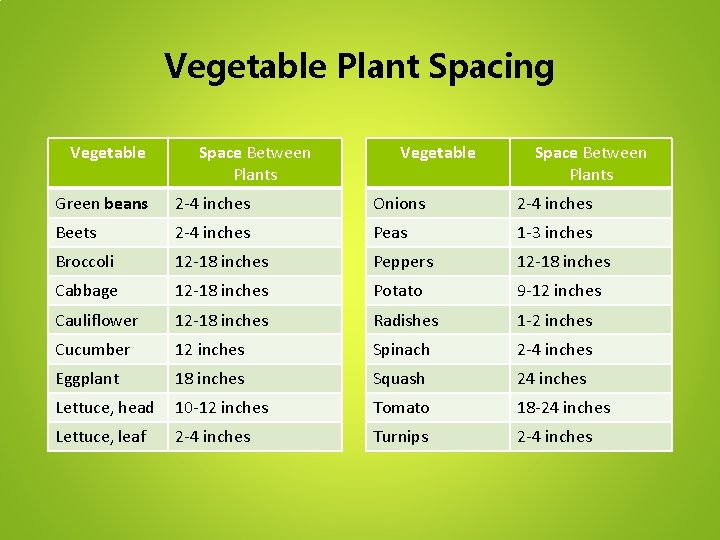 Vegetable Plant Spacing Vegetable Space Between Plants Green beans 2 -4 inches Onions 2