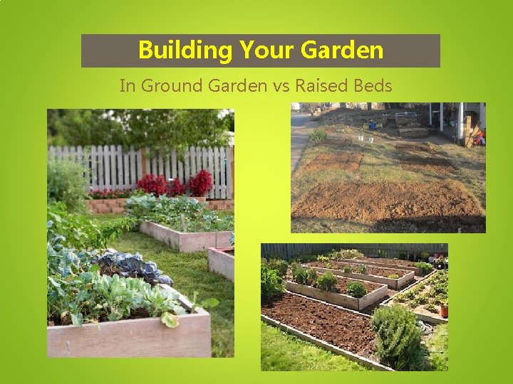 Building Your Garden In Ground Garden vs Raised Beds 