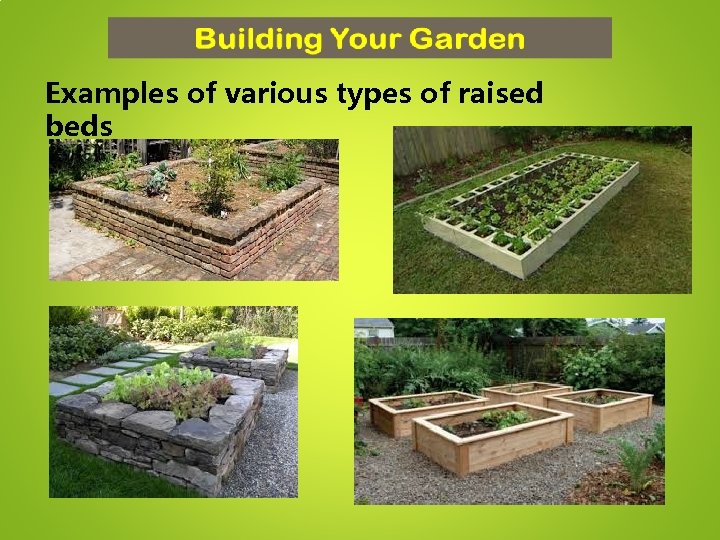 Examples of various types of raised beds 