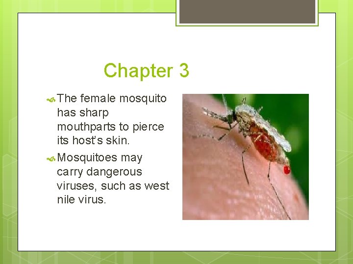 Chapter 3 The female mosquito has sharp mouthparts to pierce its host’s skin. Mosquitoes