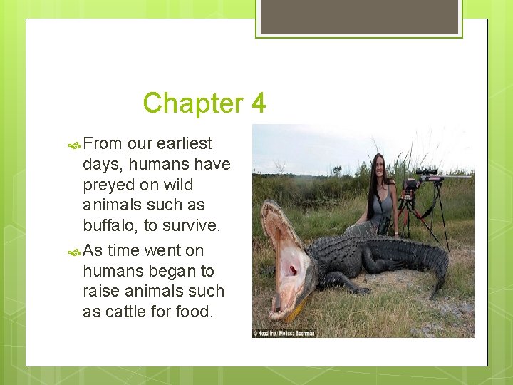 Chapter 4 From our earliest days, humans have preyed on wild animals such as