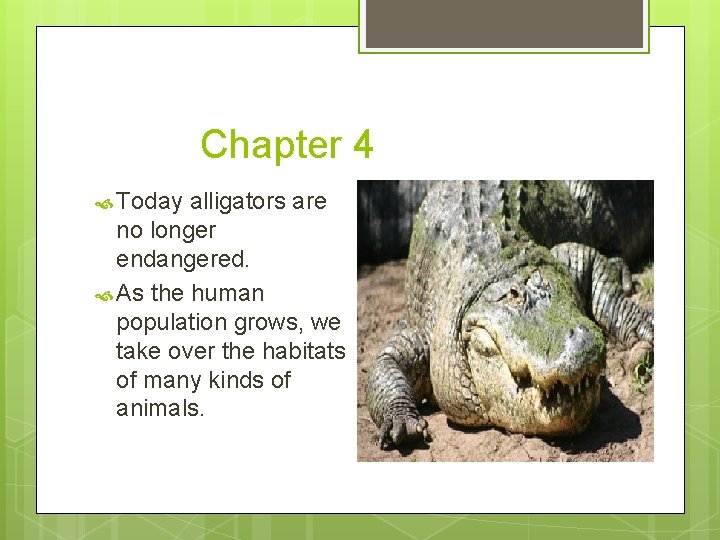 Chapter 4 Today alligators are no longer endangered. As the human population grows, we