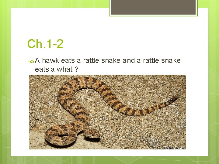 Ch. 1 -2 A hawk eats a rattle snake and a rattle snake eats