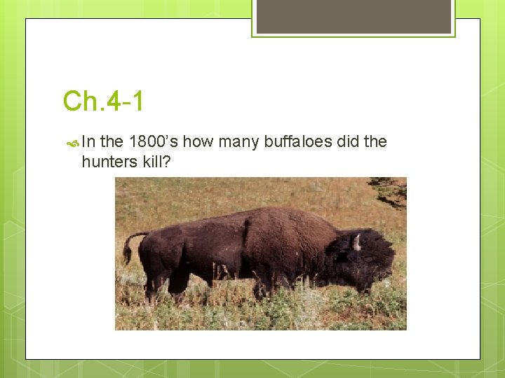 Ch. 4 -1 In the 1800’s how many buffaloes did the hunters kill? 