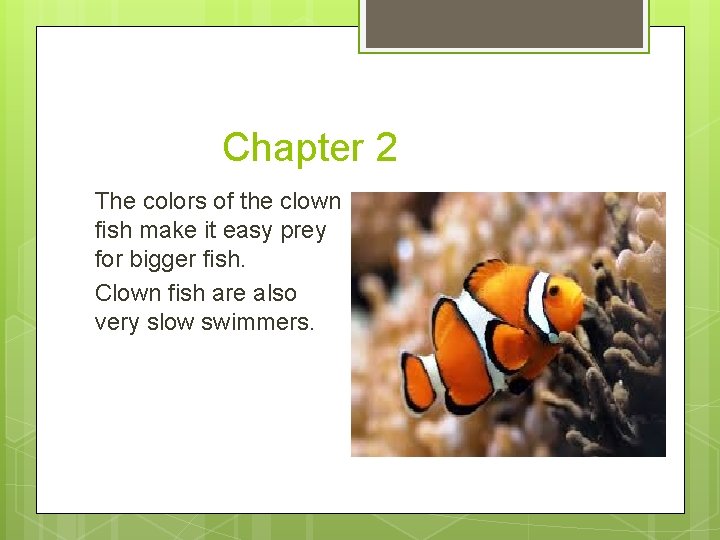 Chapter 2 The colors of the clown fish make it easy prey for bigger