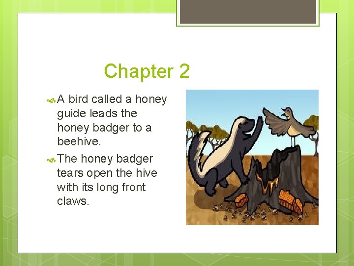 Chapter 2 A bird called a honey guide leads the honey badger to a
