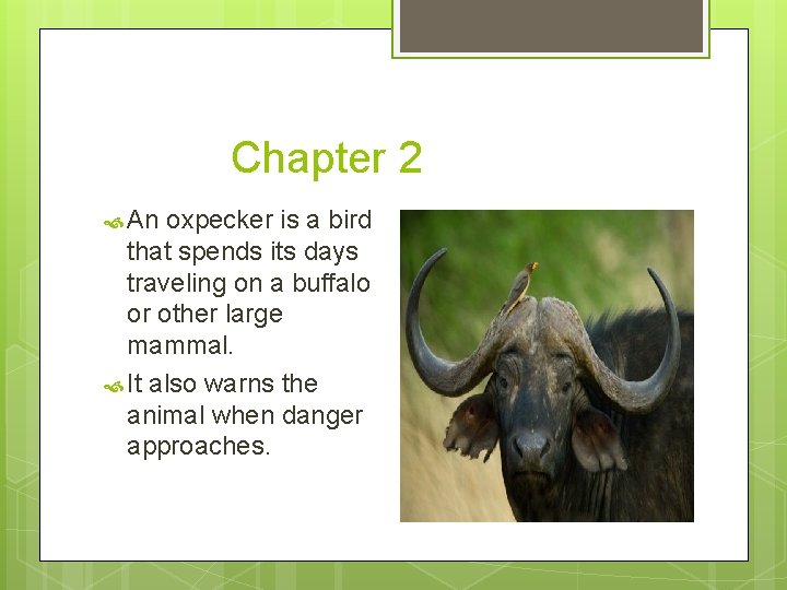 Chapter 2 An oxpecker is a bird that spends its days traveling on a