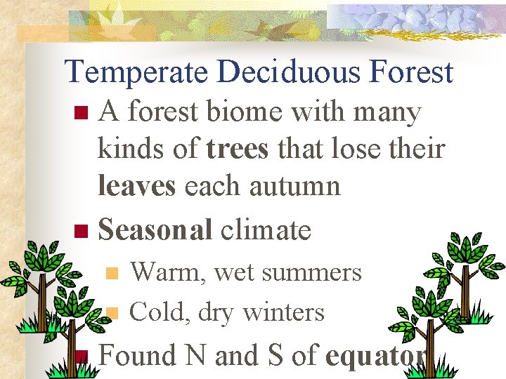 Temperate Deciduous Forest A forest biome with many kinds of trees that lose their